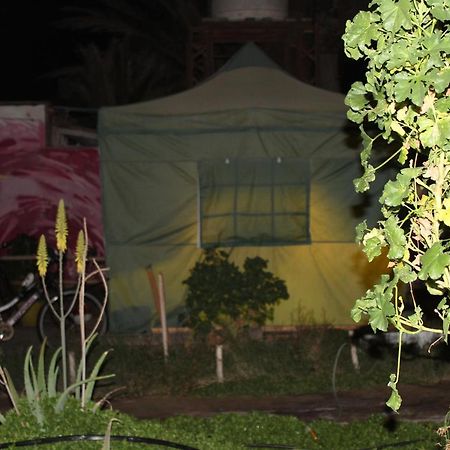 Hostel La Posada Gallo Arica Exteriör bild