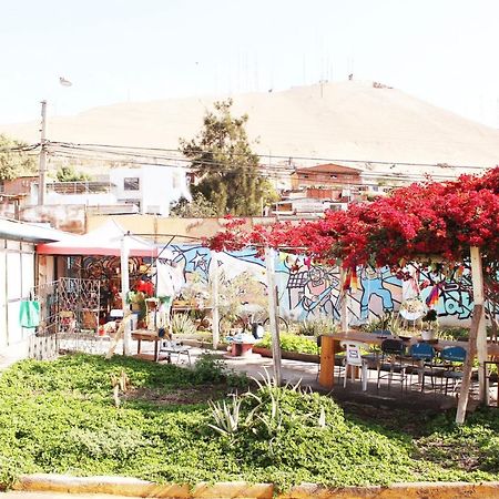 Hostel La Posada Gallo Arica Exteriör bild