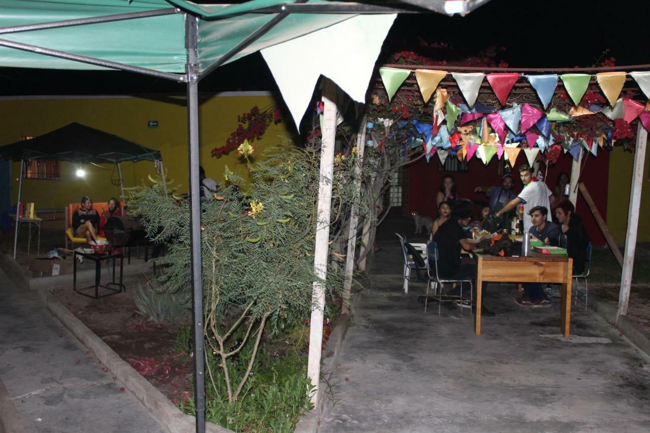 Hostel La Posada Gallo Arica Exteriör bild
