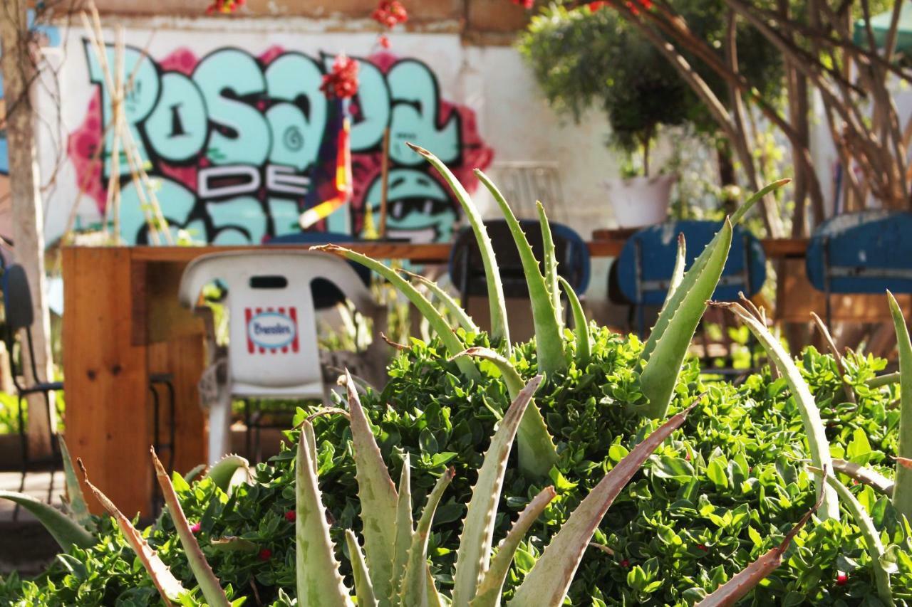 Hostel La Posada Gallo Arica Exteriör bild