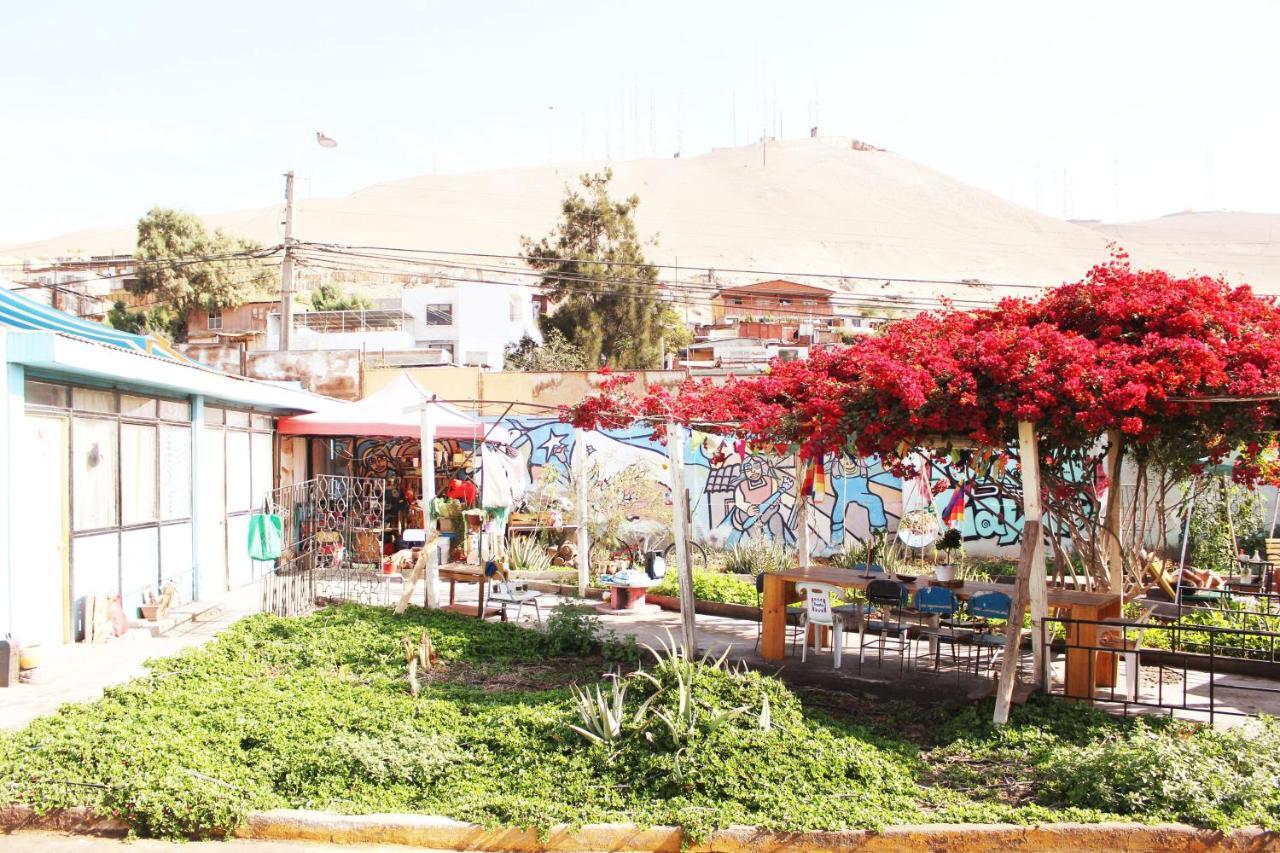 Hostel La Posada Gallo Arica Exteriör bild