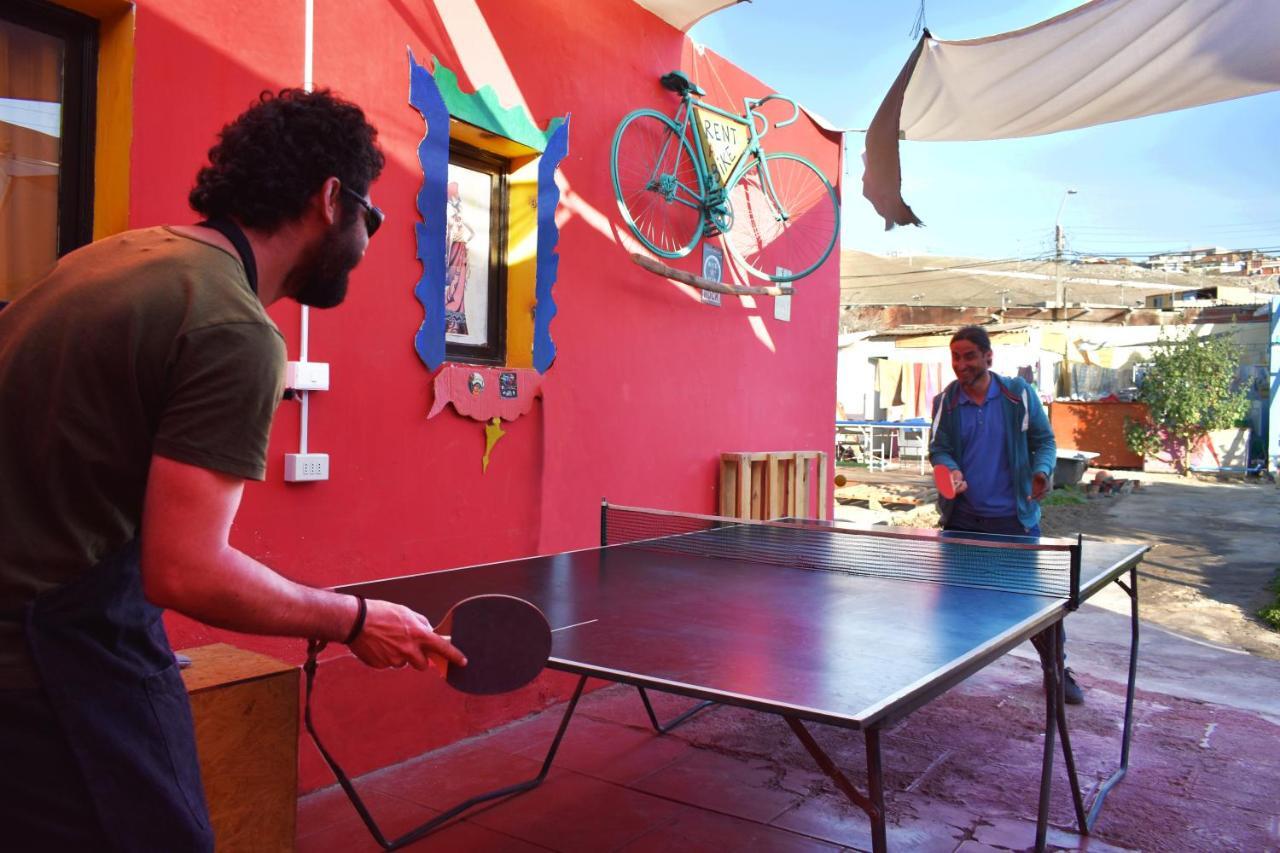 Hostel La Posada Gallo Arica Exteriör bild