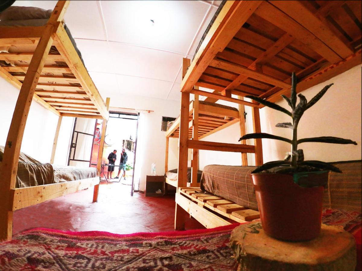 Hostel La Posada Gallo Arica Exteriör bild